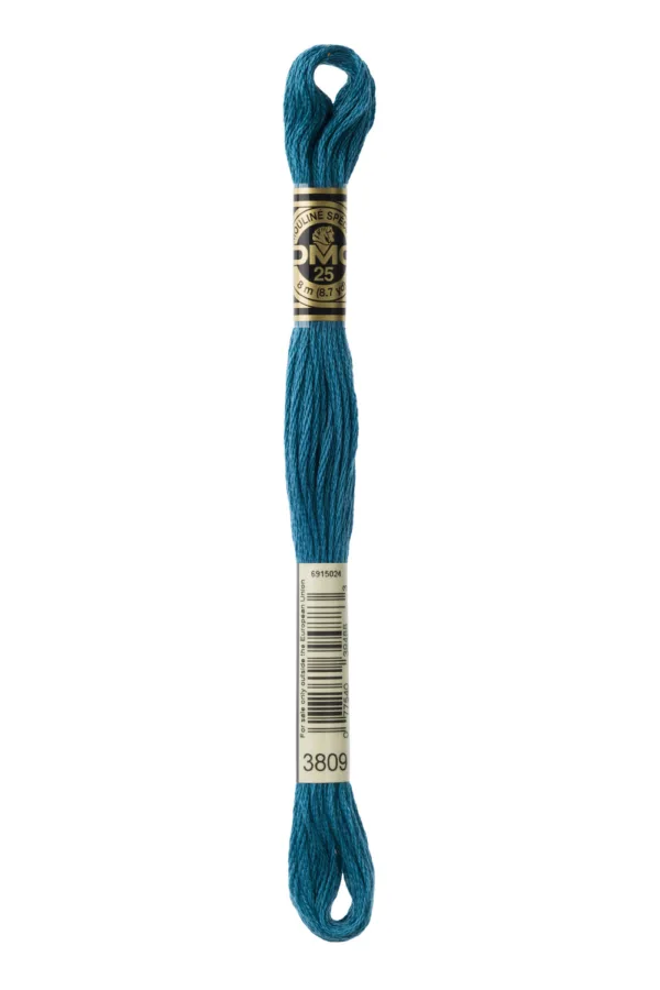 DMC Moulinè 3809