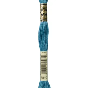 DMC Moulinè 3810