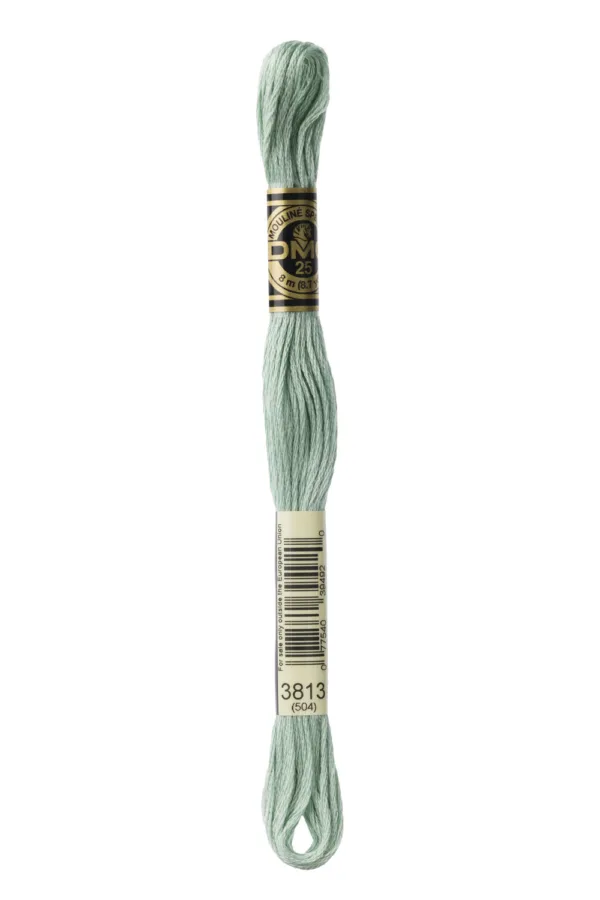 DMC Mouliné 3813