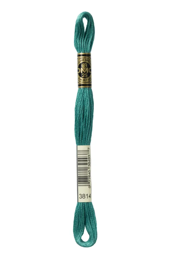 DMC Moulinè 3814