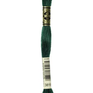 DMC Moulinè 3818