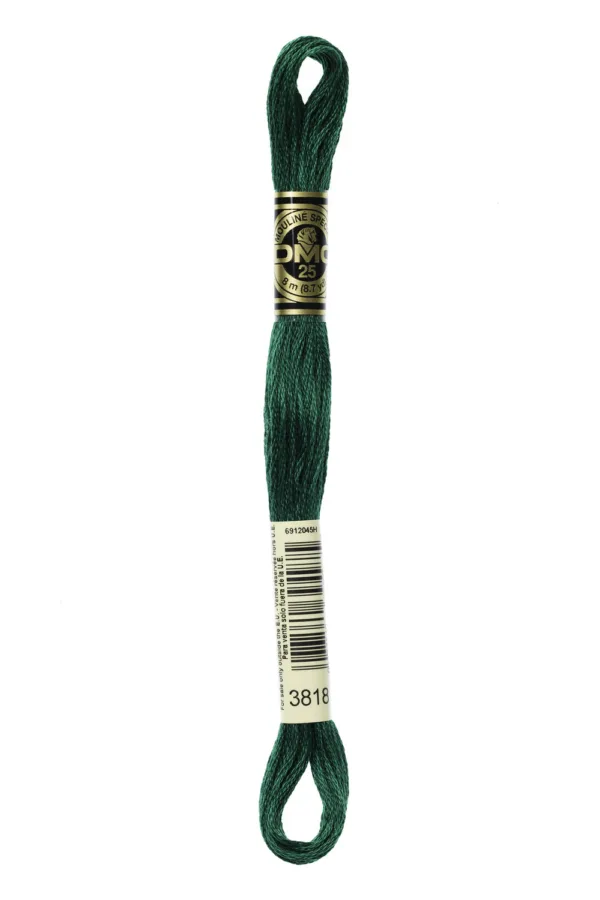 DMC Moulinè 3818