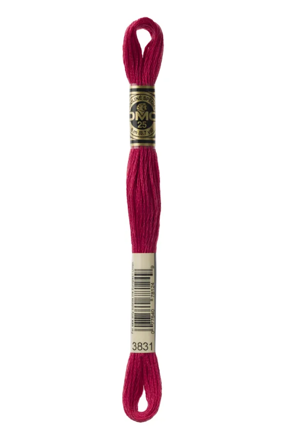 DMC Moulinè 3831