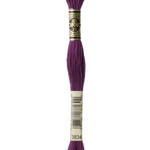 DMC Moulinè 3834