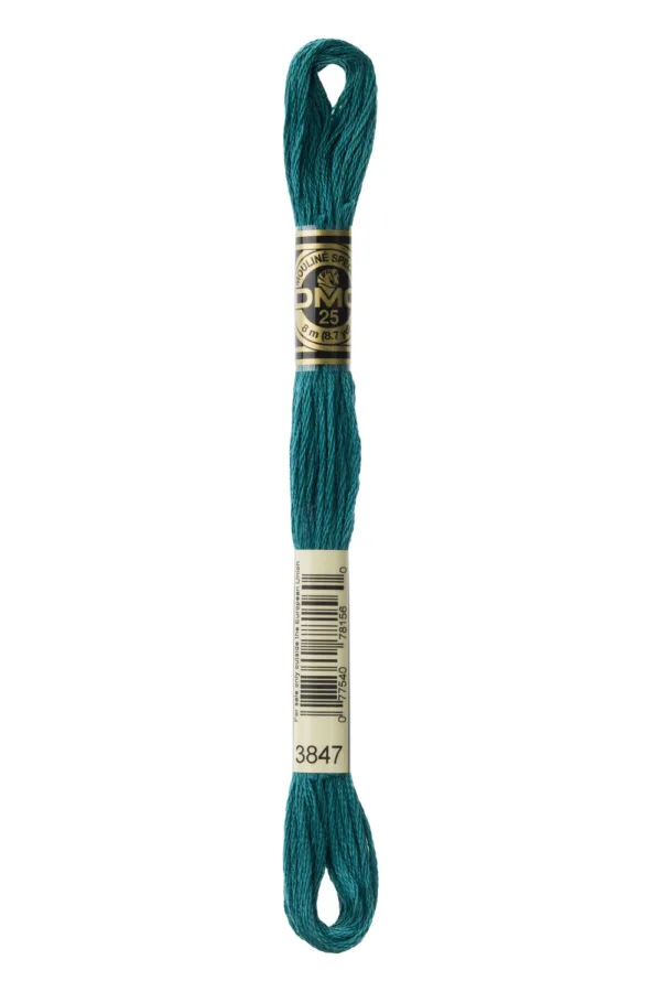 DMC Moulinè 3847