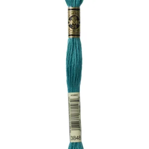 DMC Moulinè 3848
