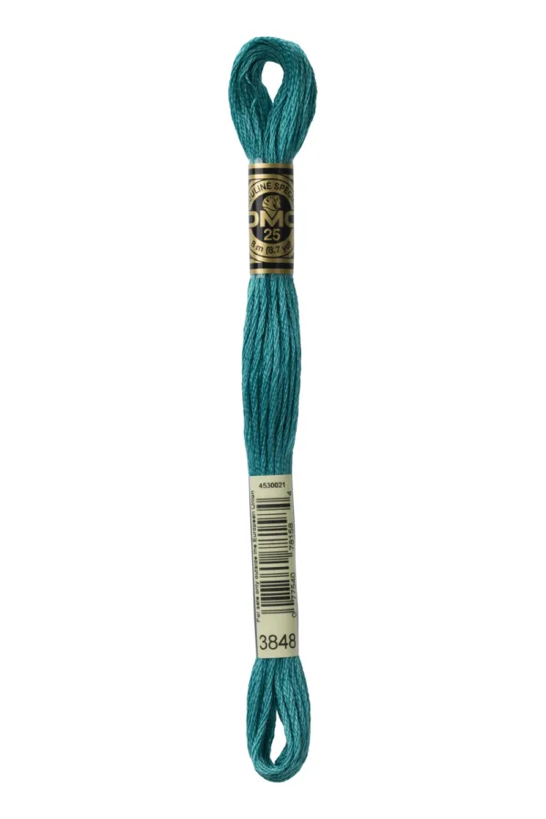 DMC Moulinè 3848