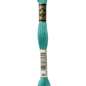 DMC Moulinè 3851