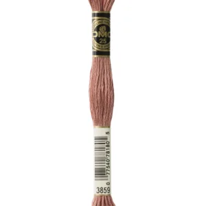 DMC Moulinè 3859
