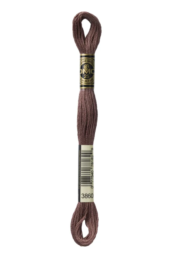 DMC Moulinè 3860