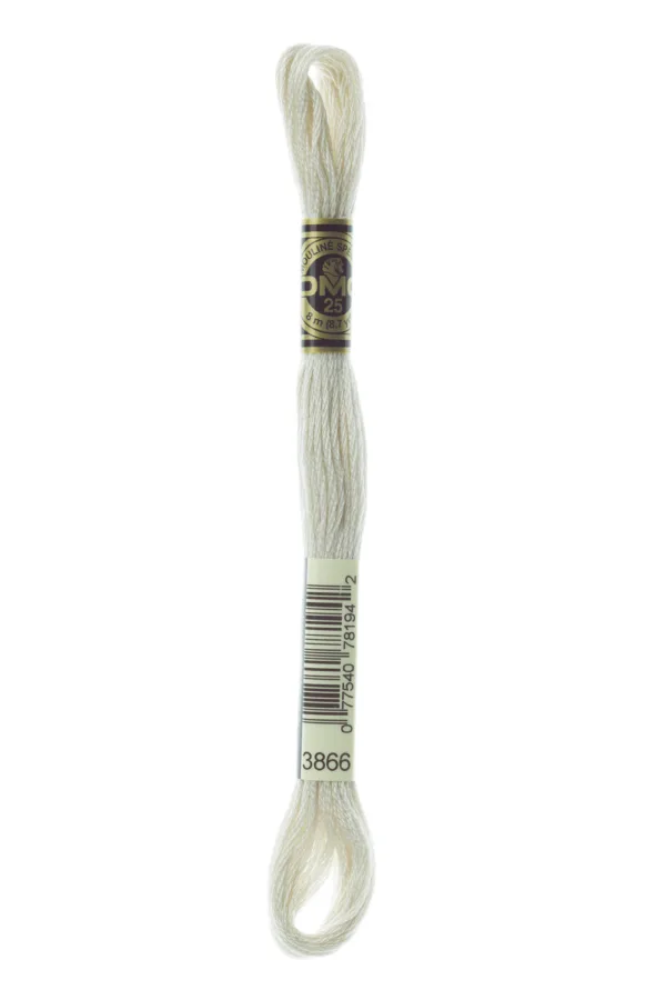 DMC Moulinè  3866
