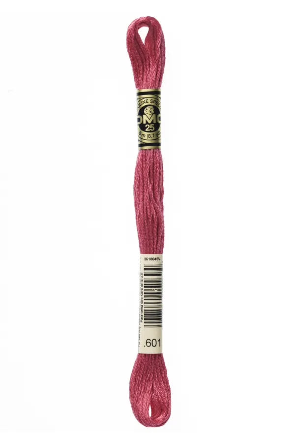 DMC Moulinè 601