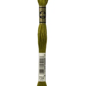DMC Moulinè 732