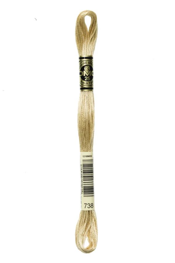 DMC Moulinè 738