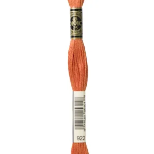 DMC Moulinè 922